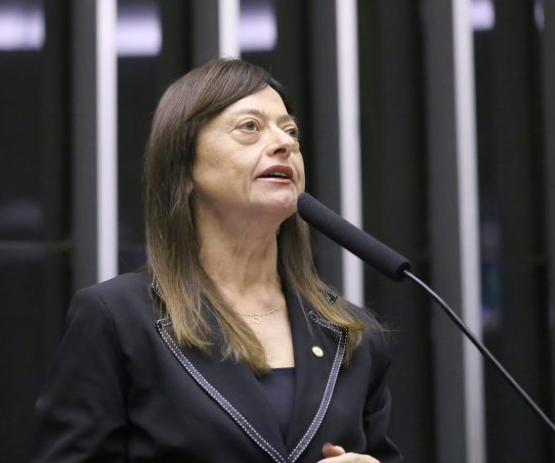 Discussão e votação de propostas legislativas. Dep. Alice Portugal (PCdoB - BA)