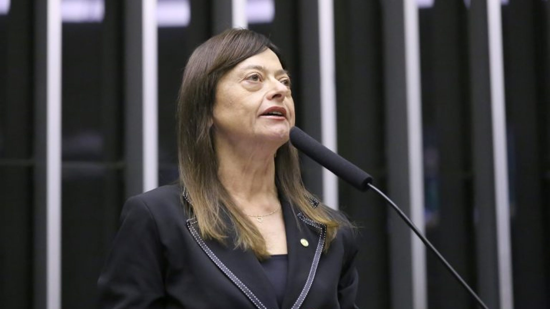 Discussão e votação de propostas legislativas. Dep. Alice Portugal (PCdoB - BA)