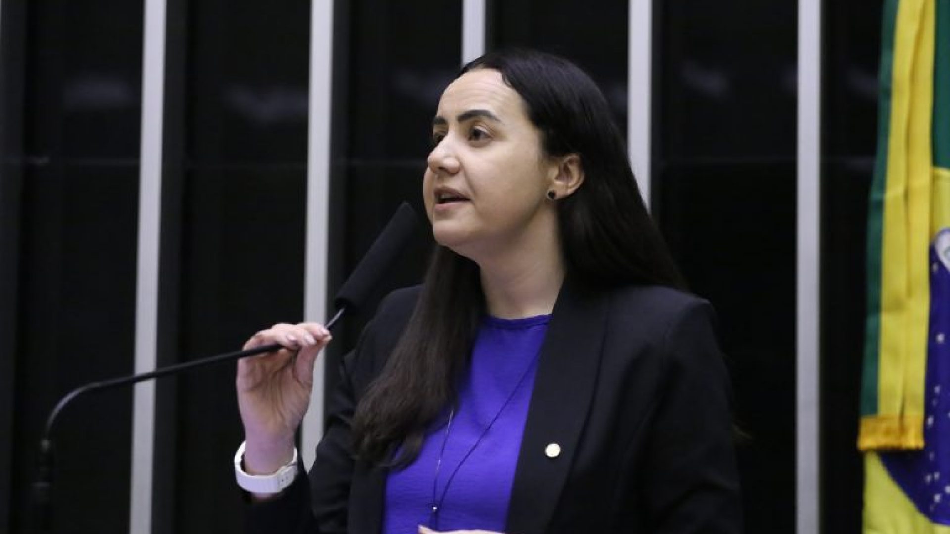 Discussão e votação de propostas legislativas. Dep. Franciane Bayer (REPUBLICANOS - RS)