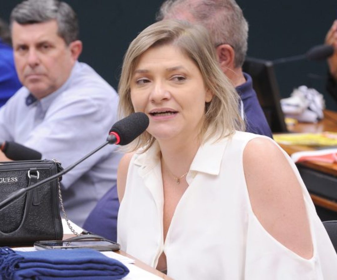 Audiência Pública - A realidade da Avibras Indústria Aeroespacial e a soberania nacional. Dep. Professora Luciene Cavalcante (PSOL - SP)