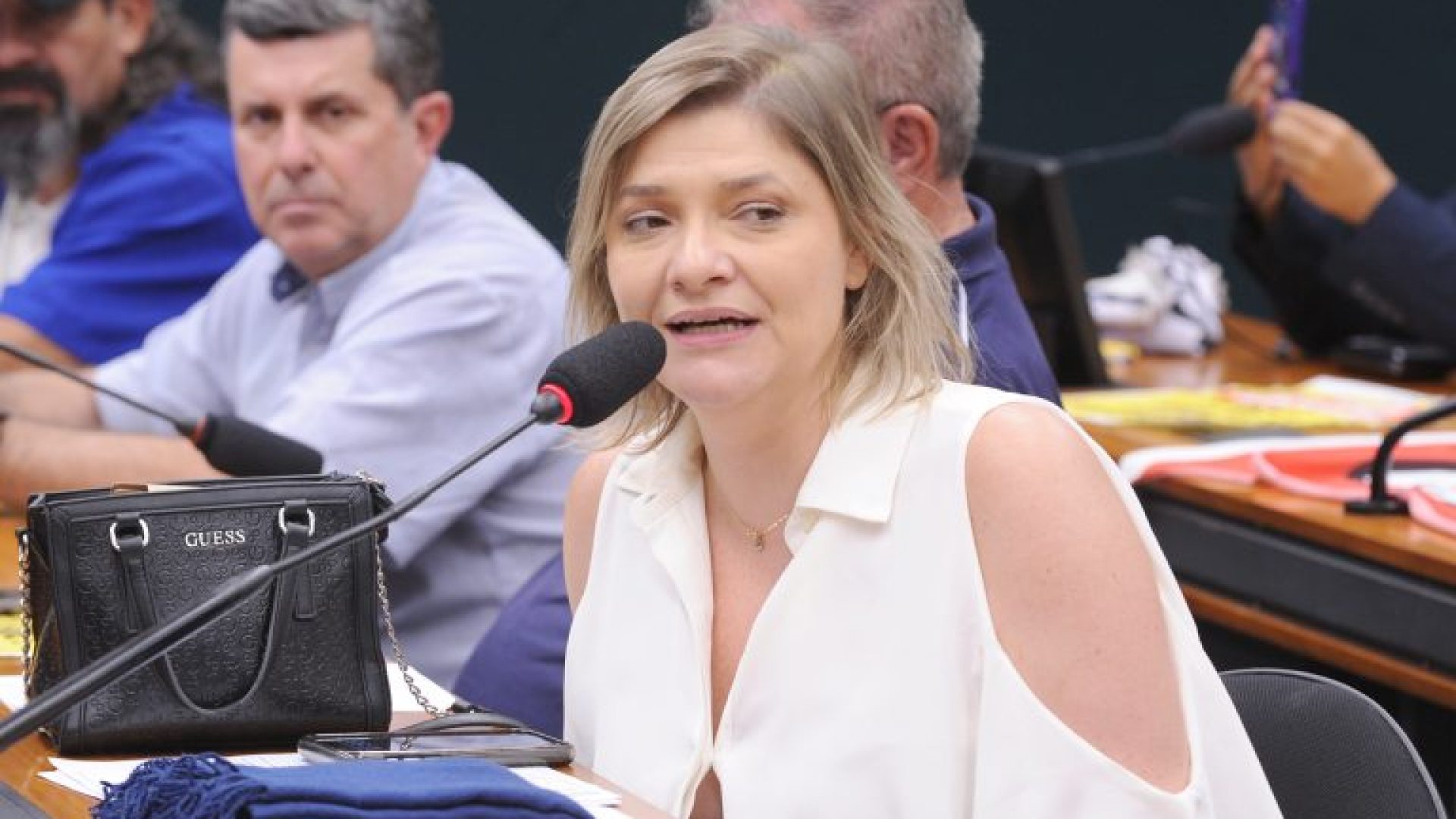 Audiência Pública - A realidade da Avibras Indústria Aeroespacial e a soberania nacional. Dep. Professora Luciene Cavalcante (PSOL - SP)