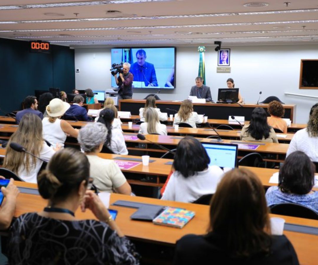 Audiência Pública - Política Nacional de Atenção Integral à Saúde e Qualidade de Vida de Mulheres na Menopausa: desafios e Caminhos para a implementação.
