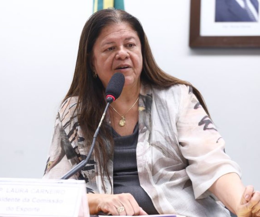 Audiência Pública - Pagamento devido aos atletas pelas apostas esportivas. Dep. Laura Carneiro (PSD - RJ)