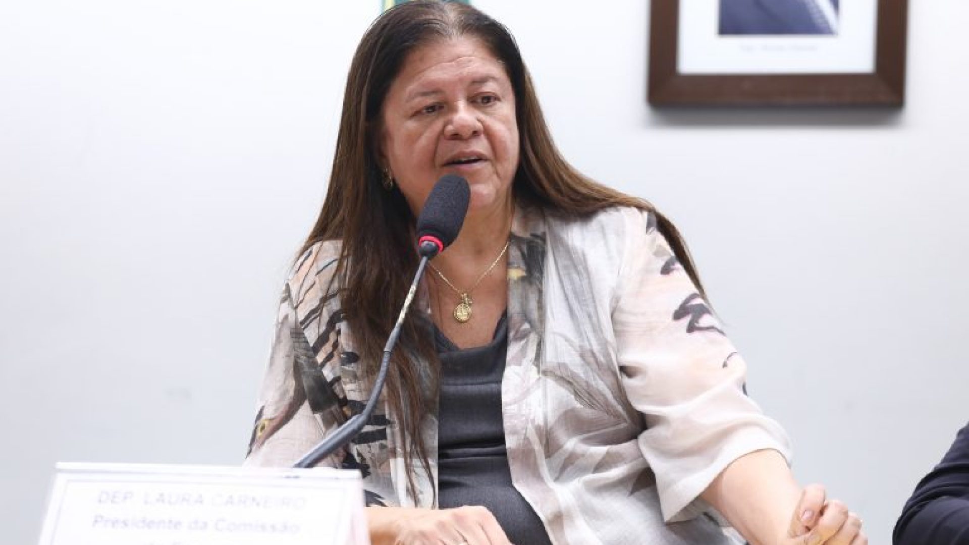 Audiência Pública - Pagamento devido aos atletas pelas apostas esportivas. Dep. Laura Carneiro (PSD - RJ)