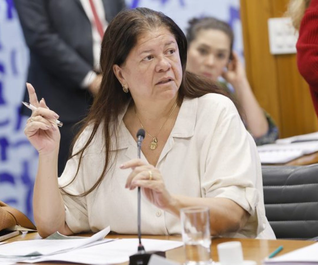 Reunião de Líderes. Dep. Laura Carneiro (PSD - RJ)