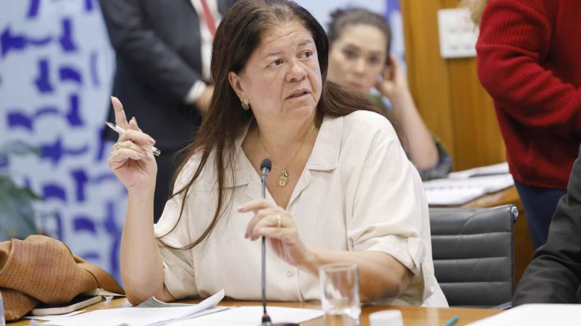 Reunião de Líderes. Dep. Laura Carneiro (PSD - RJ)