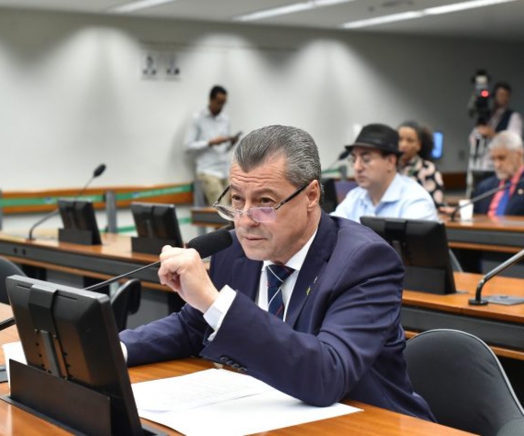 Audiência Pública - Questões diversas relacionadas ao trabalho plataformizado. Dep. Daniel Agrobom (PL-GO)