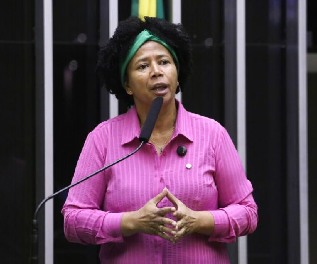 Discussão e votação de propostas legislativas. Dep. Silvia Cristina (PP - RO)