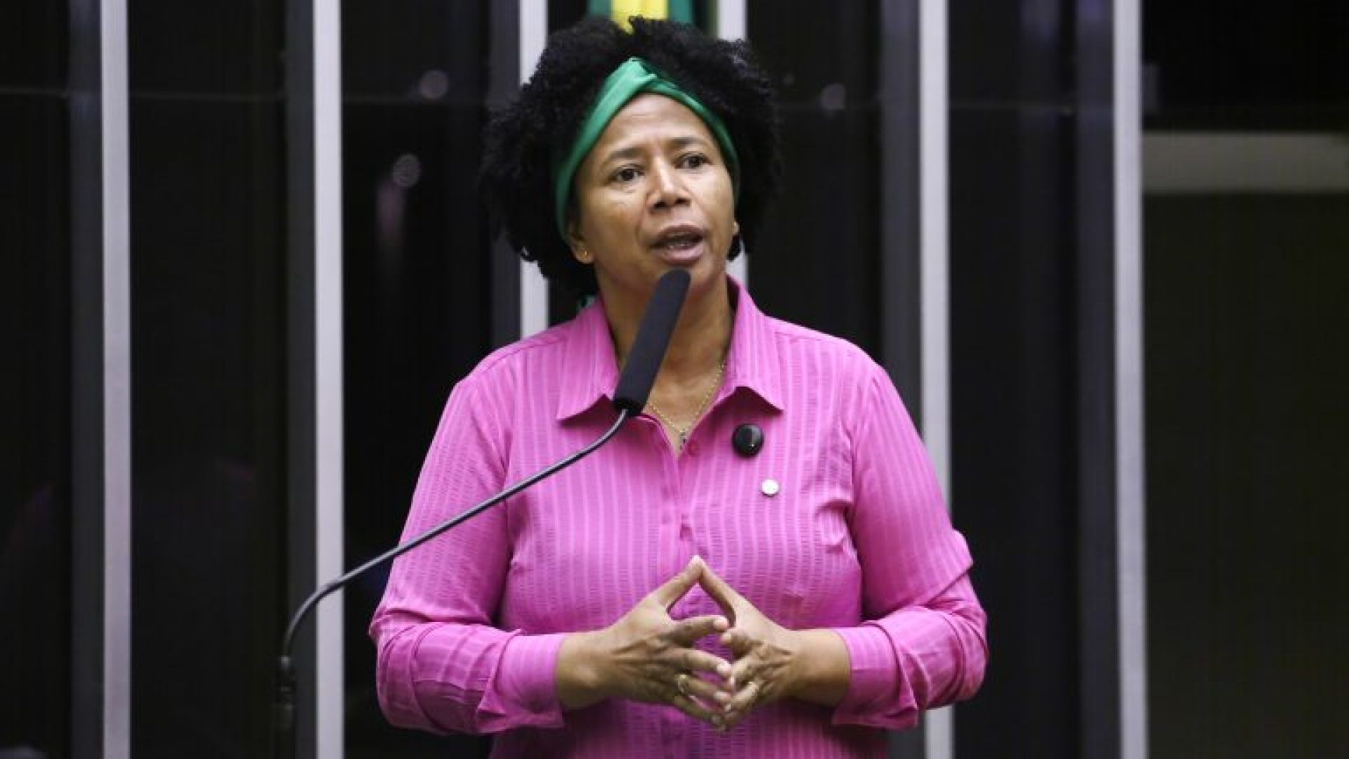 Discussão e votação de propostas legislativas. Dep. Silvia Cristina (PP - RO)