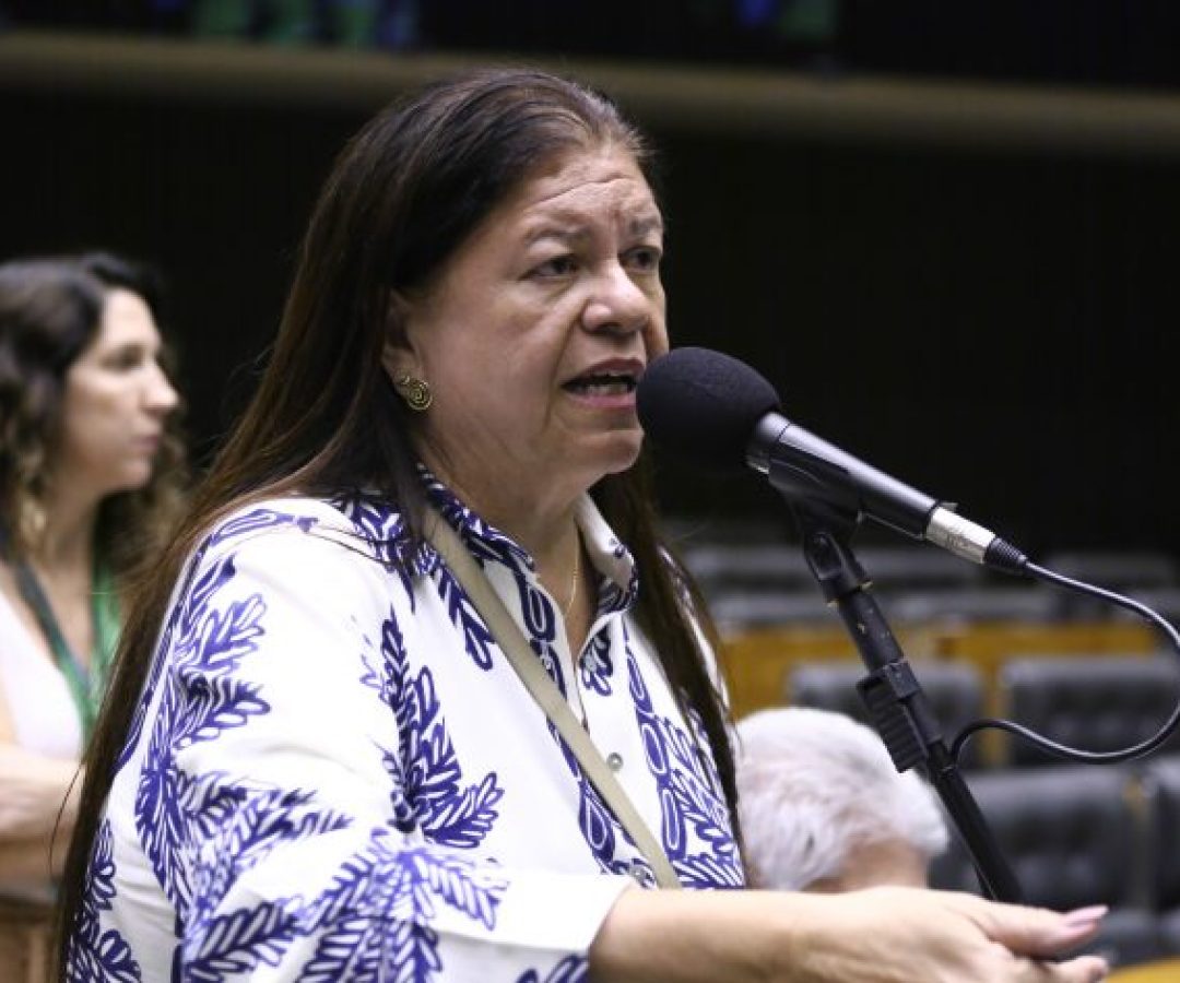 Discussão e votação de propostas legislativas. Dep. Laura Carneiro (PSD-RJ).