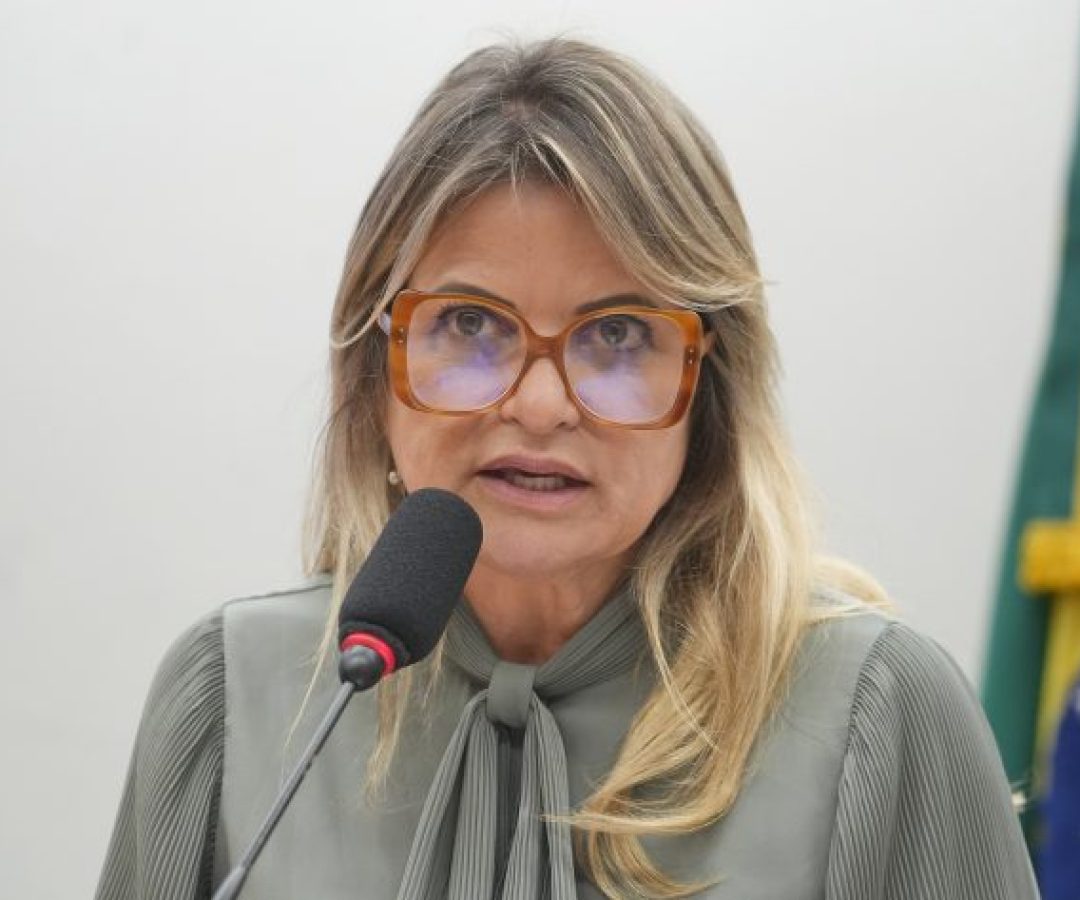 Seminário - Zero Mortes Evitáveis por Câncer de Mama: Acesso, Desafios e o Papel dos Três Poderes e da Sociedade Civil. Dep. Flávia Morais (PDT-GO)