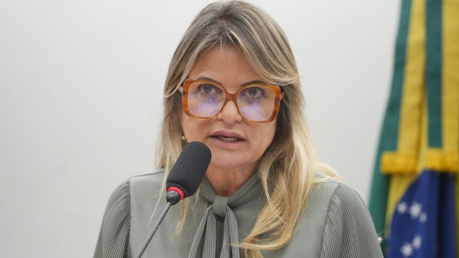Seminário - Zero Mortes Evitáveis por Câncer de Mama: Acesso, Desafios e o Papel dos Três Poderes e da Sociedade Civil. Dep. Flávia Morais (PDT-GO)