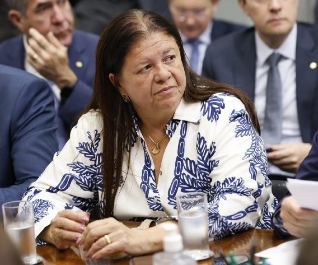 Reunião com o ministro da Educação, Camilo Santana. Dep. Laura Carneiro (PSD-RJ).