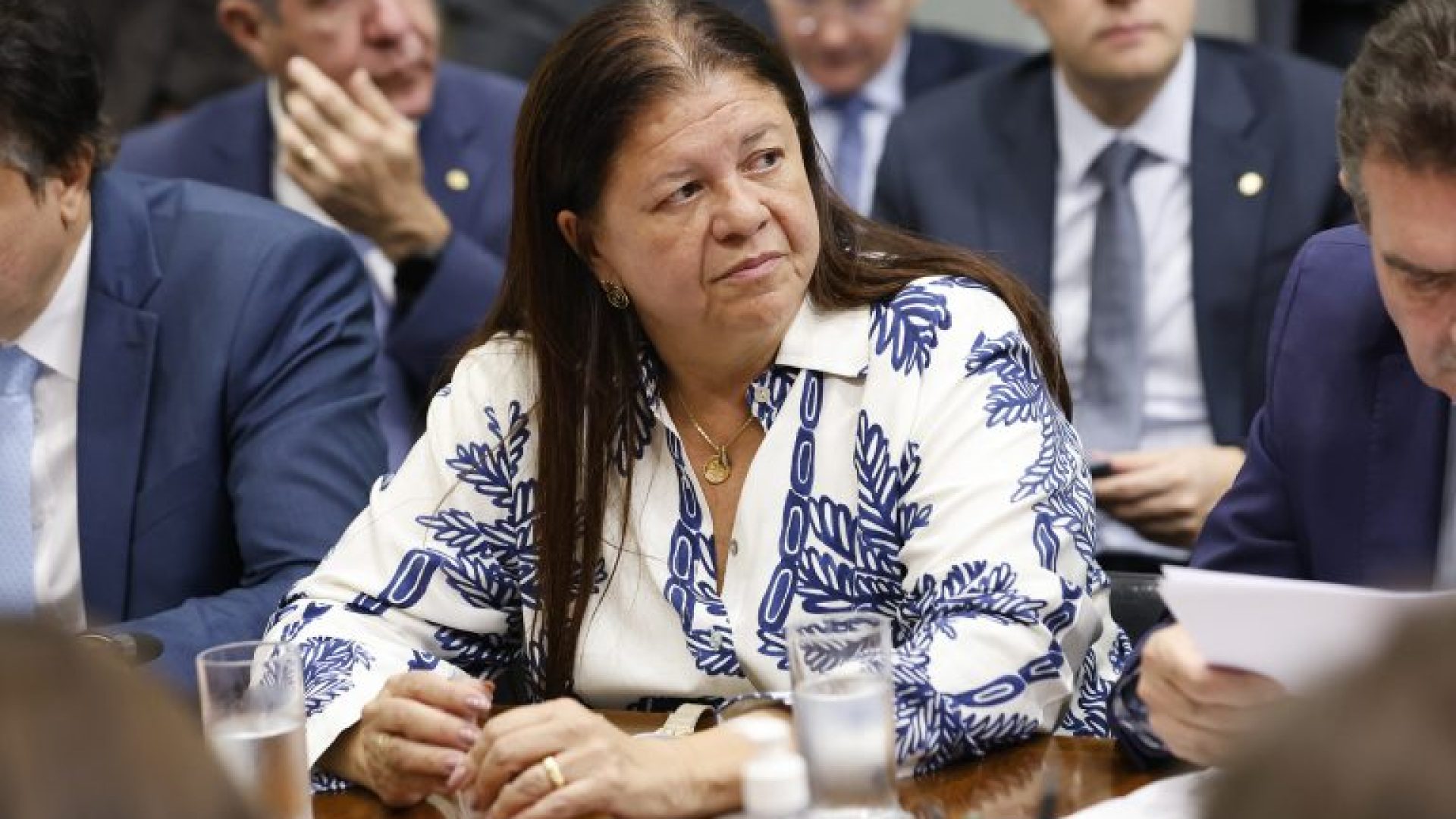 Reunião com o ministro da Educação, Camilo Santana. Dep. Laura Carneiro (PSD-RJ).