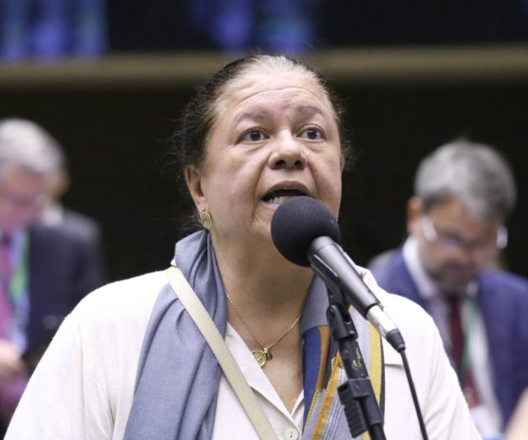 Discussão e votação de propostas legislativas. Dep. Laura Carneiro (PSD - RJ)