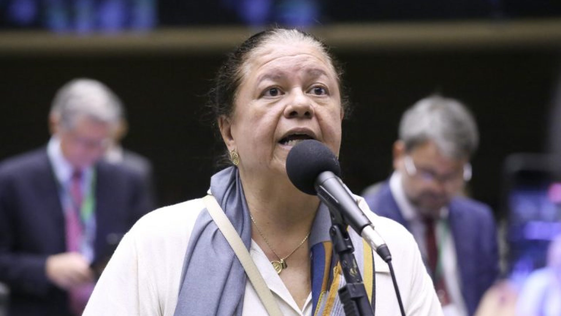 Discussão e votação de propostas legislativas. Dep. Laura Carneiro (PSD - RJ)