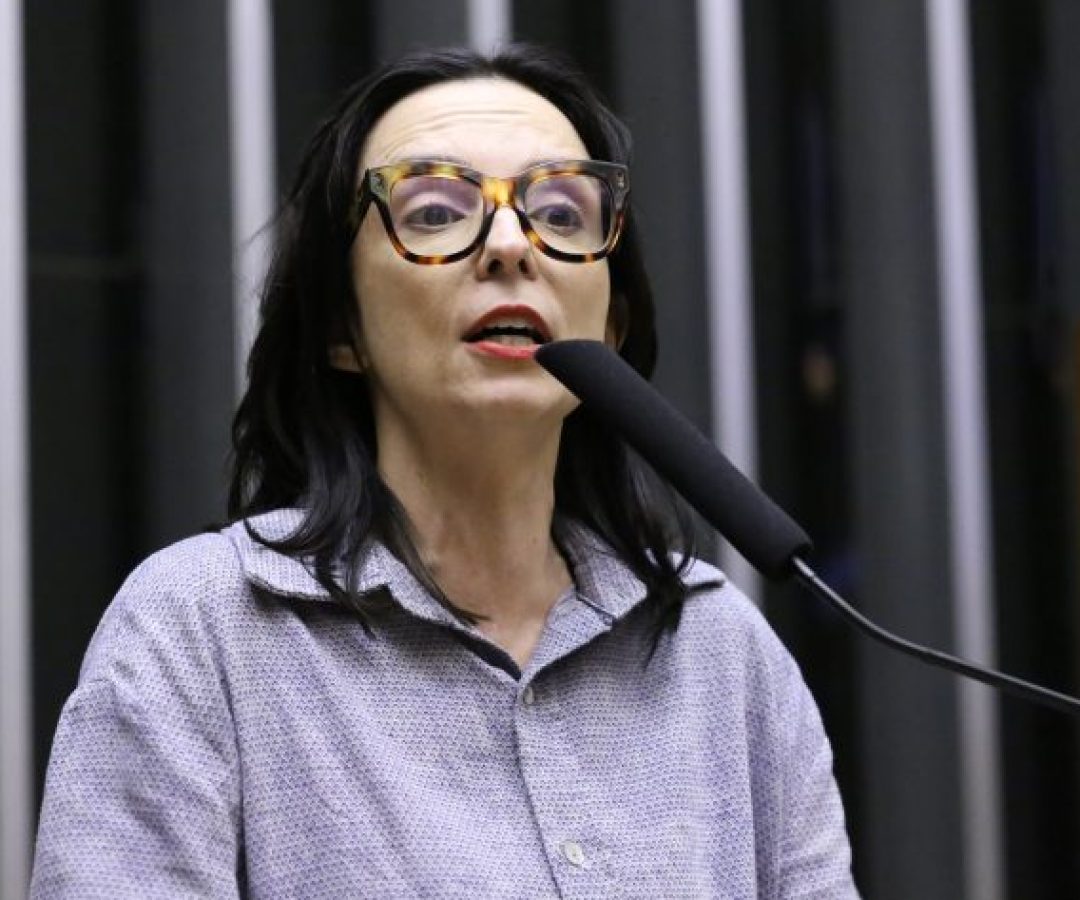 Discussão e votação de propostas legislativas. Dep. Ana Pimentel (PT - MG)