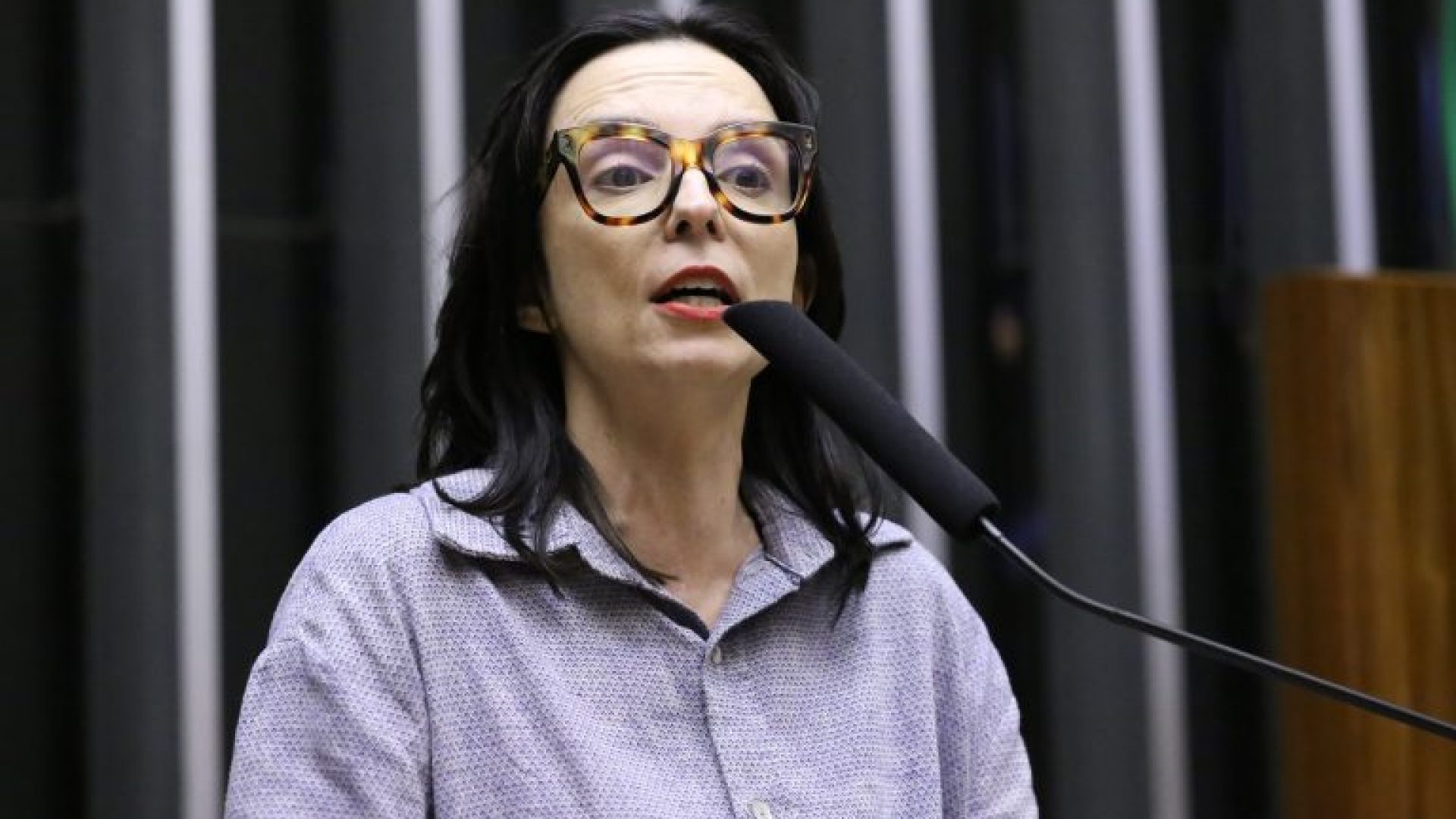 Discussão e votação de propostas legislativas. Dep. Ana Pimentel (PT - MG)