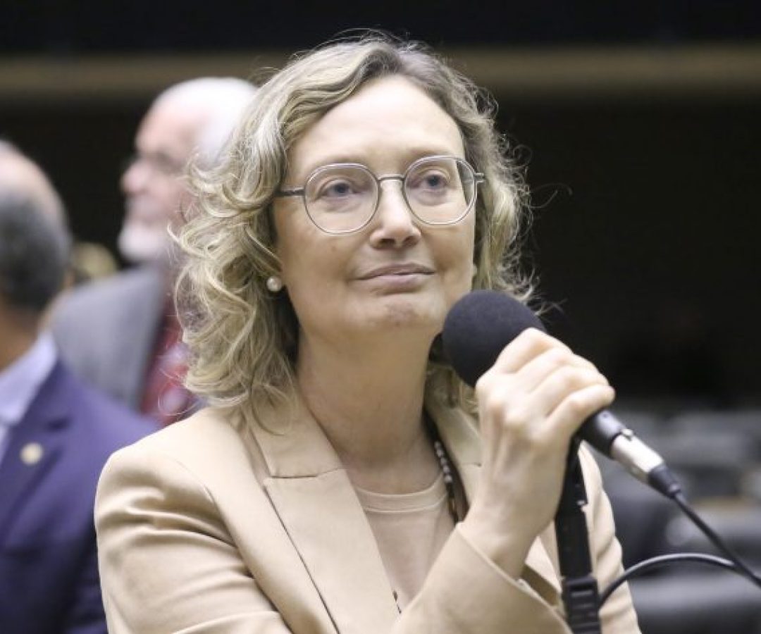 Discussão e votação de propostas legislativas. Dep. Maria do Rosário (PT - RS)