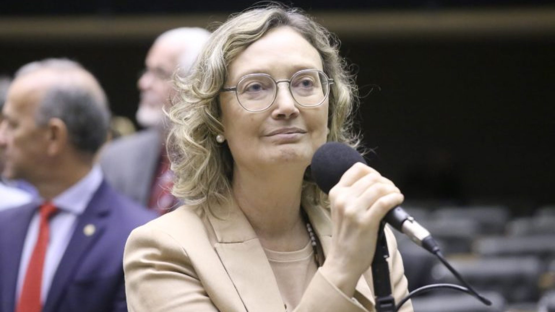Discussão e votação de propostas legislativas. Dep. Maria do Rosário (PT - RS)