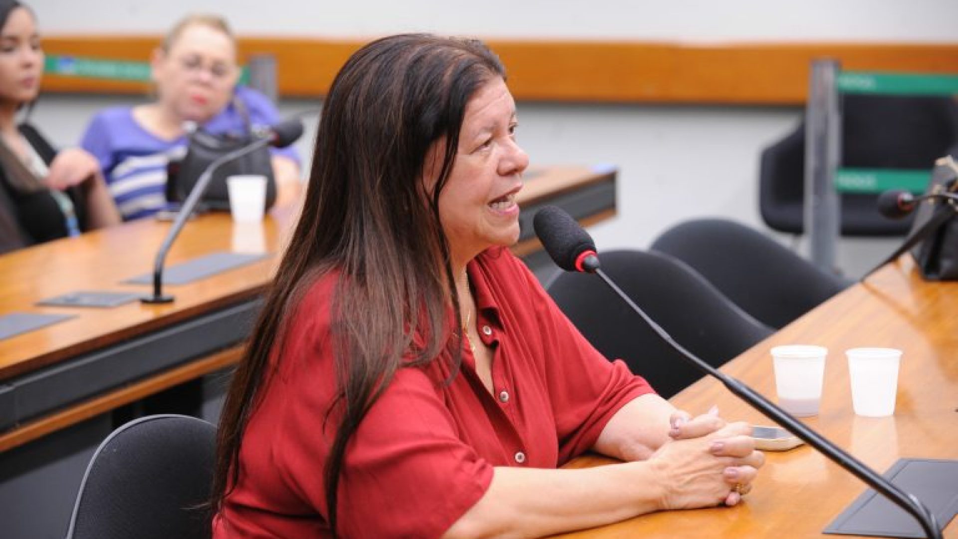 Audiência Pública - Atividades da Confederação Brasileira do Desporto Universitário. Dep. Laura Carneiro (PSD-RJ)