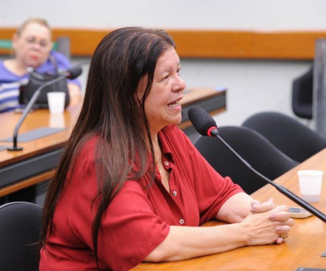Audiência Pública - Atividades da Confederação Brasileira do Desporto Universitário. Dep. Laura Carneiro (PSD-RJ)