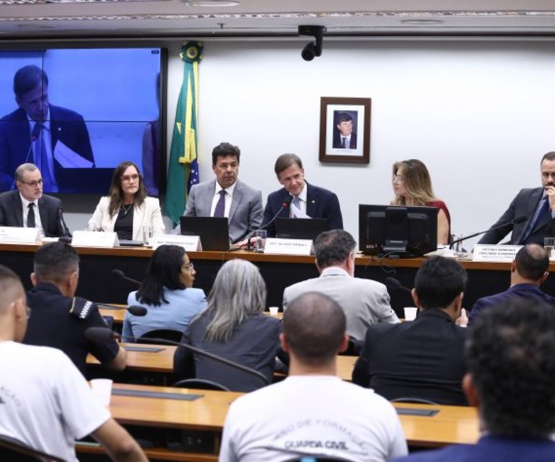 Audiência Pública - Dados e políticas de segurança pública.