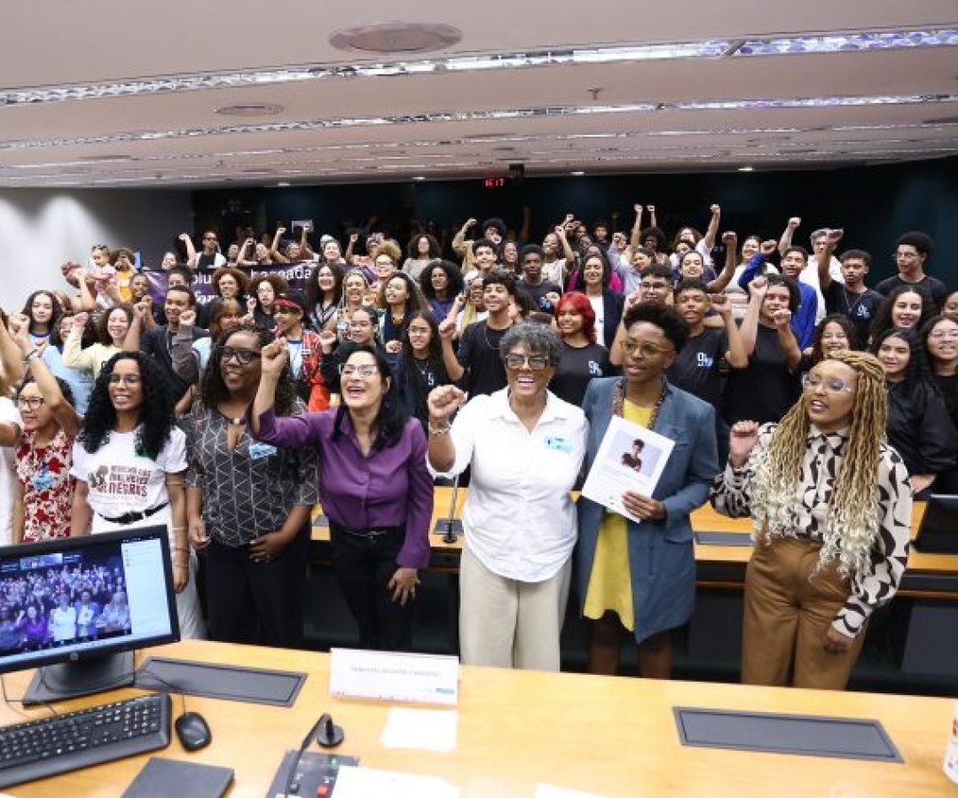 Audiência Pública - Jovens Mulheres Negras e o Direito ao Trabalho Digno.