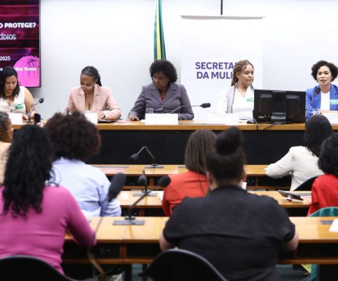 Seminário: Lançamento da pesquisa "Quem são as mulheres que o Brasil não protege? Uma análise interseccional dos feminicídios”.