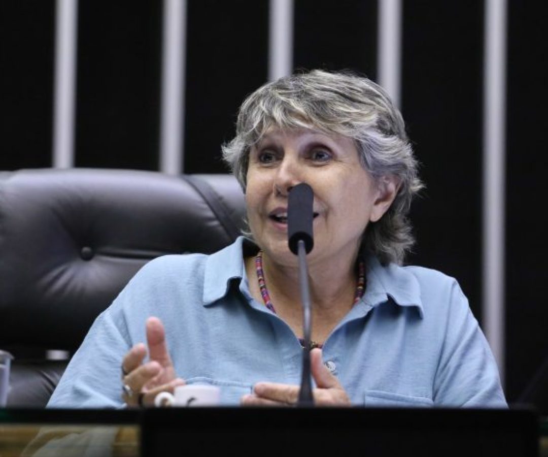 Homenagem ao Dia Mundial de Luta contra a AIDS. Dep. Erika Kokay (PT-DF)