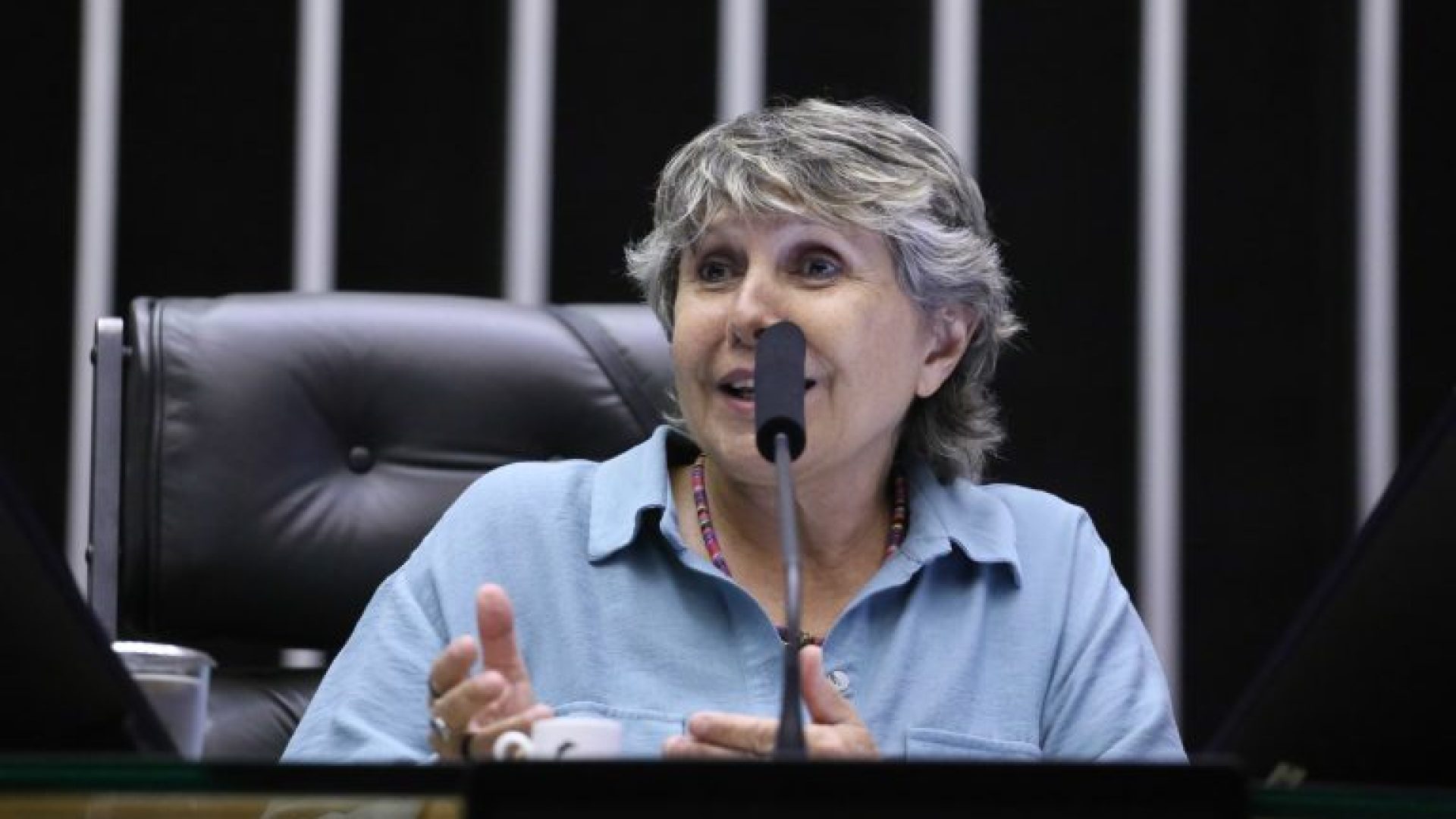 Homenagem ao Dia Mundial de Luta contra a AIDS. Dep. Erika Kokay (PT-DF)