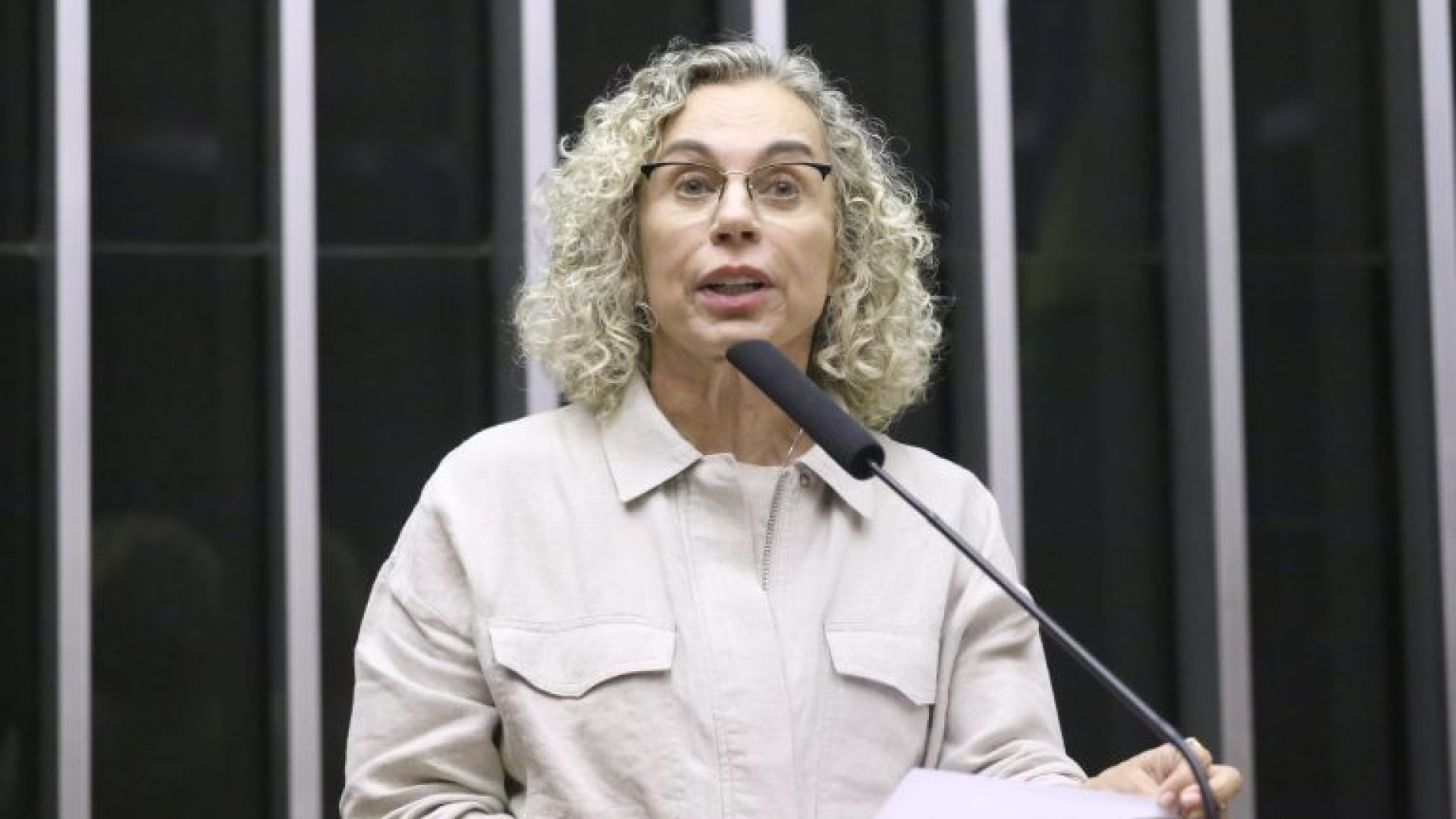 Discussão e votação de propostas legislativas. Dep. Ana Paula Lima (PT - SC)