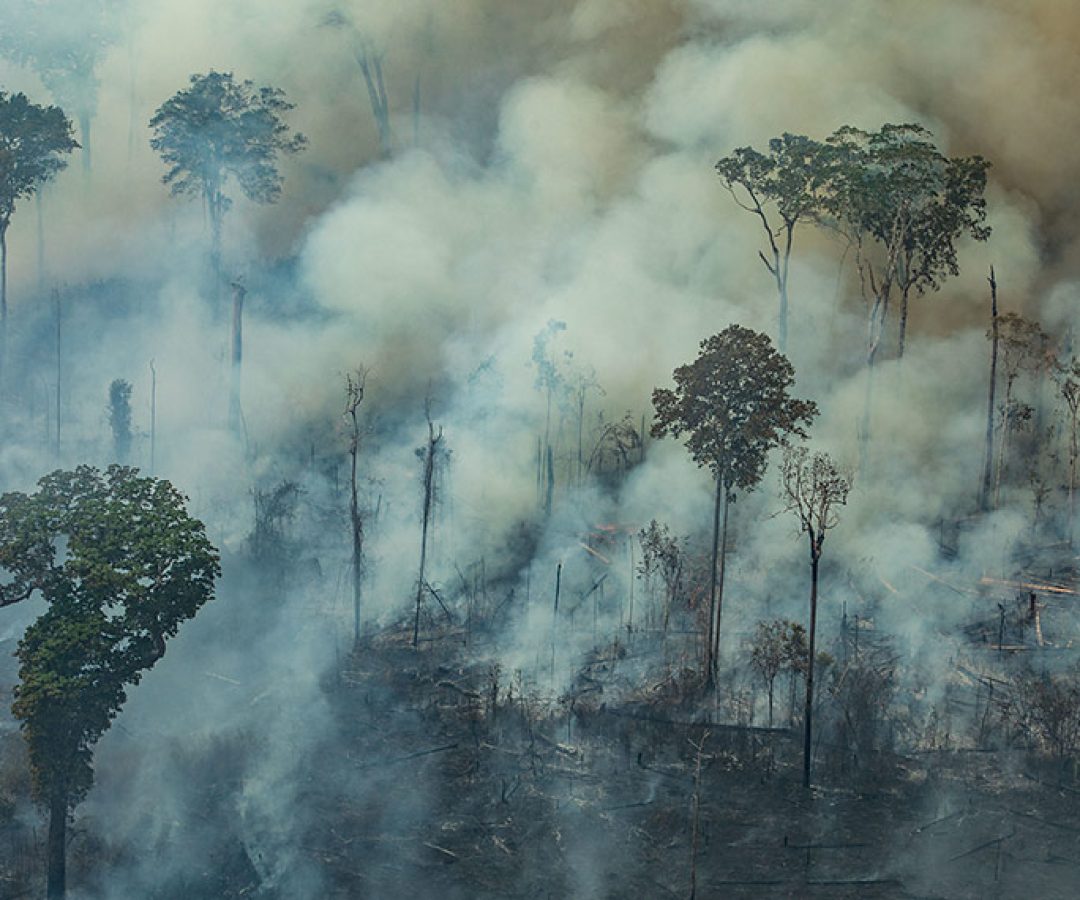 Combate à desinformação na agenda climática e o papel do Senado na COP 30 — Senado Notícias