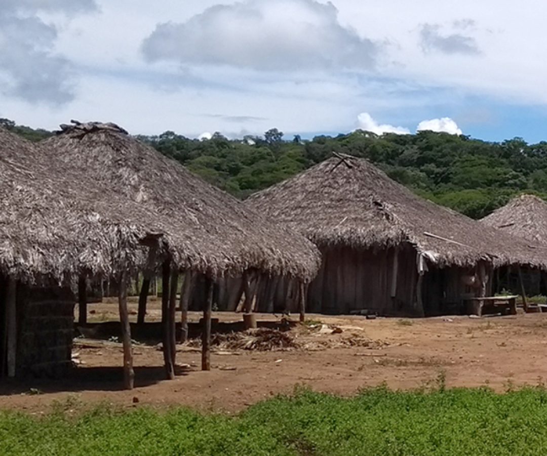 CDH vai analisar inclusão digital de ribeirinhos, quilombolas e indígenas — Senado Notícias