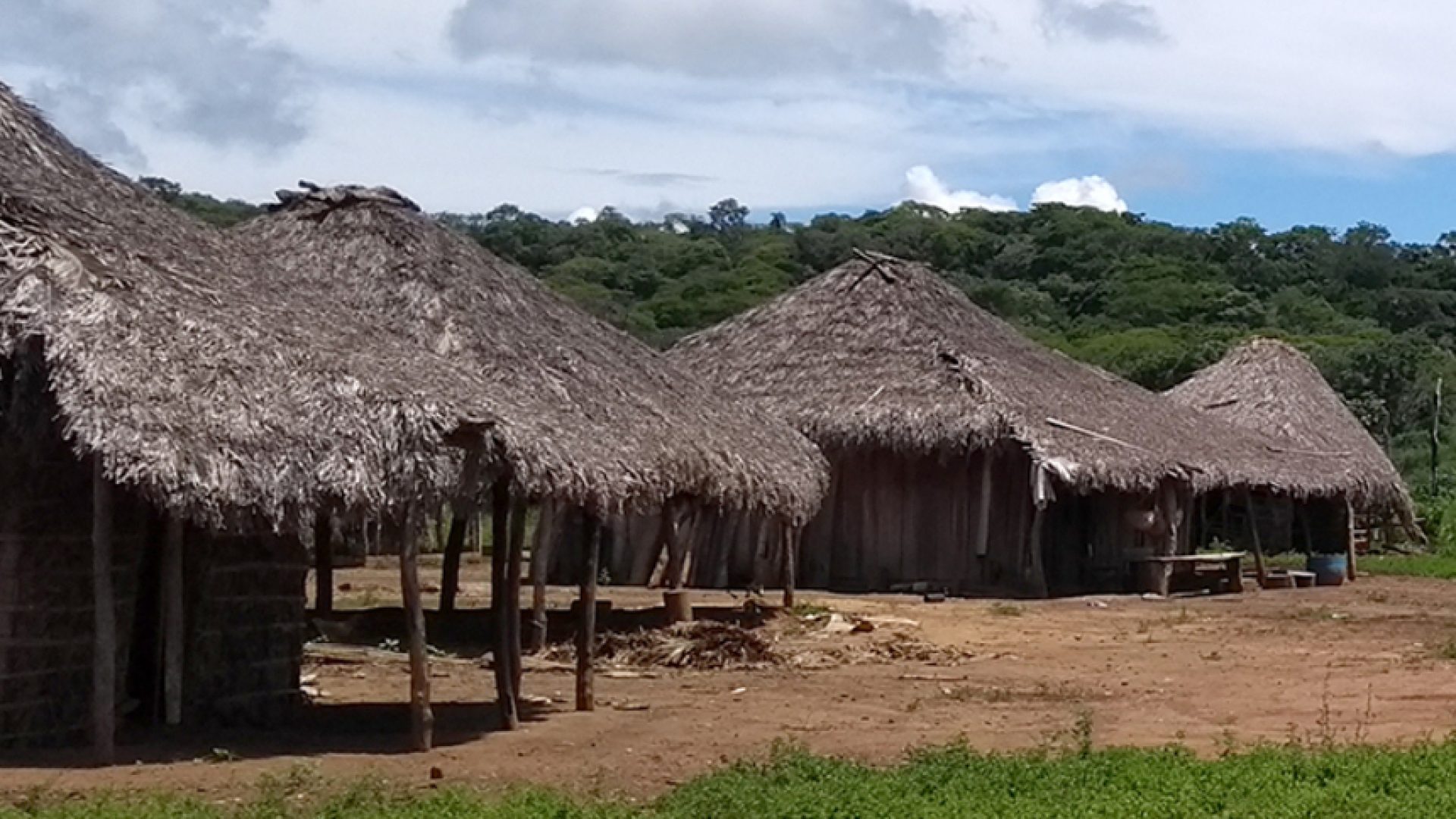 CDH vai analisar inclusão digital de ribeirinhos, quilombolas e indígenas — Senado Notícias