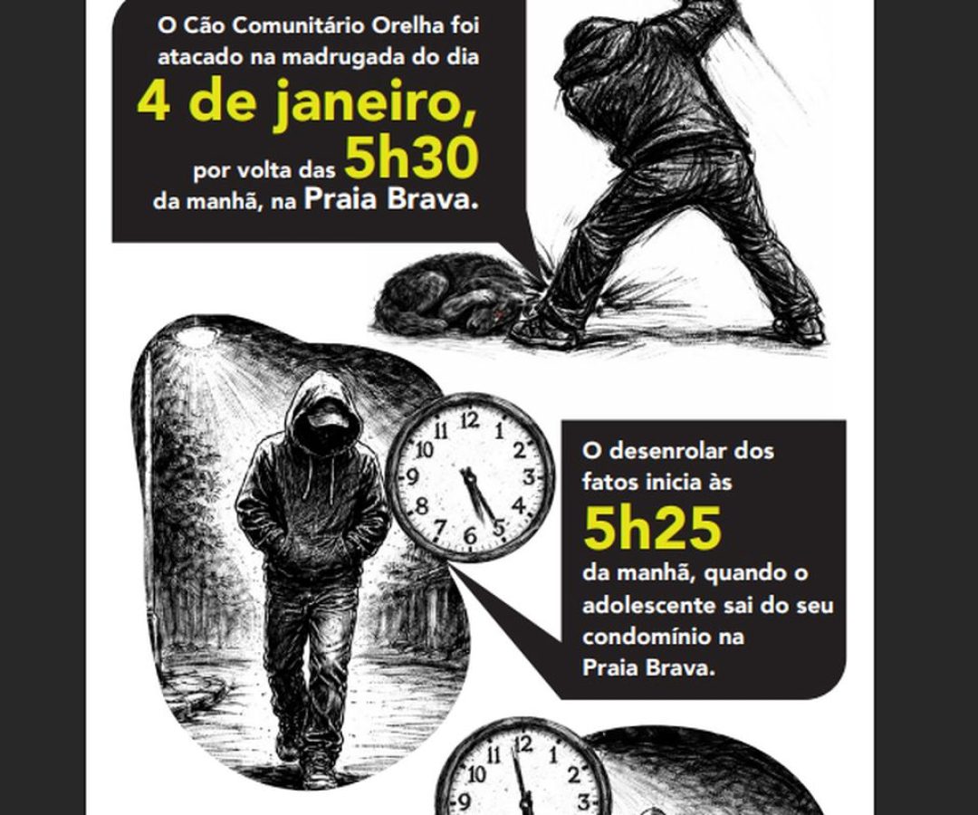 Cão Orelha: Polícia usa imagens e dados de celular para desvendar caso