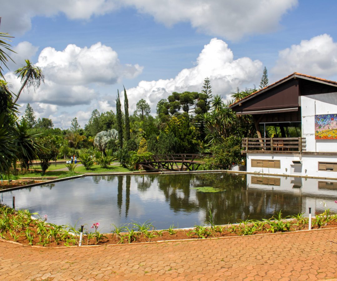 Jardim Botânico de Brasília encerra 2025 com recorde de visitação e avanços na conservação do Cerrado