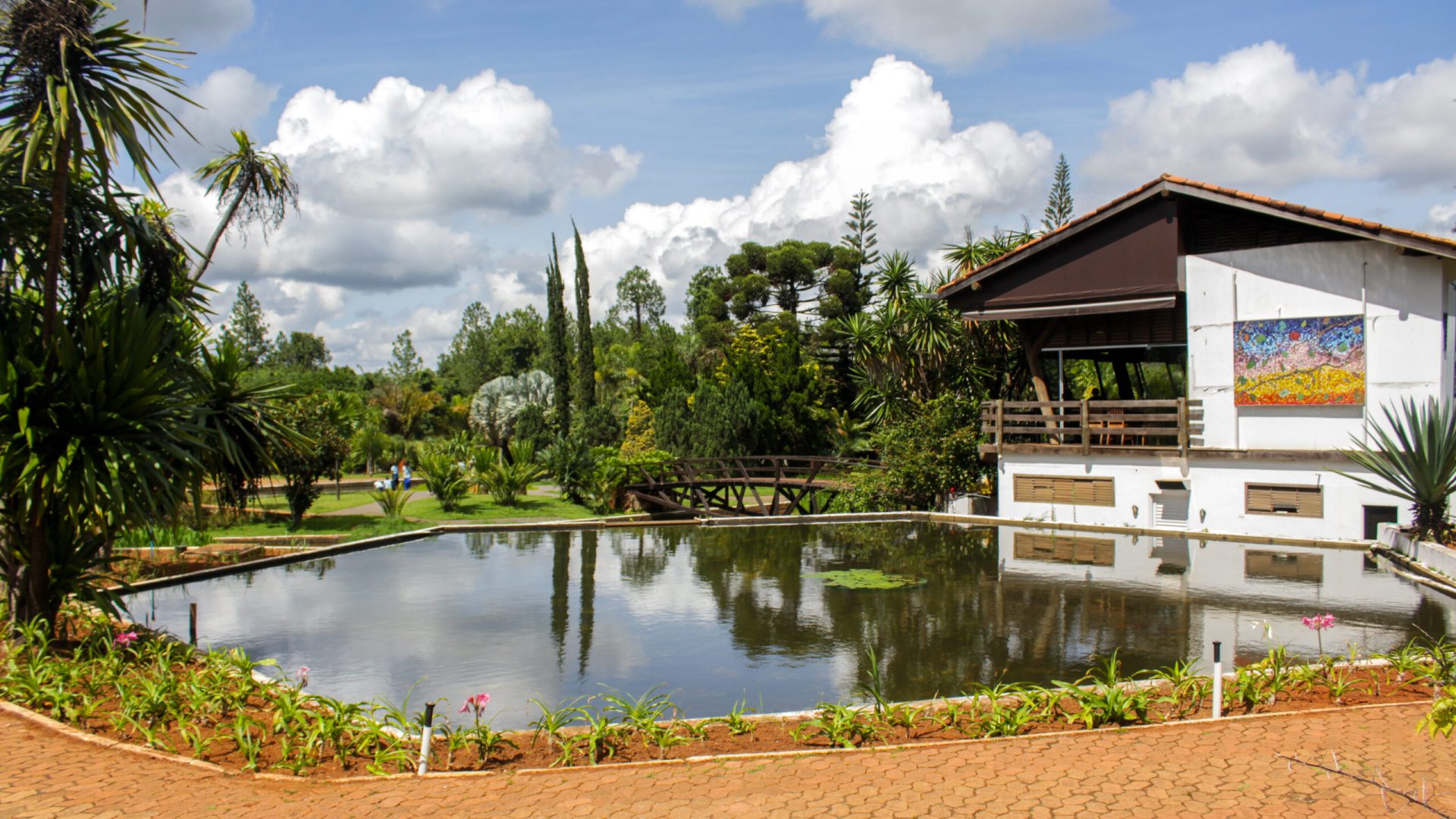 Jardim Botânico de Brasília encerra 2025 com recorde de visitação e avanços na conservação do Cerrado