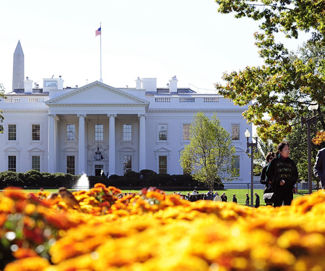 reprodução redes sociais