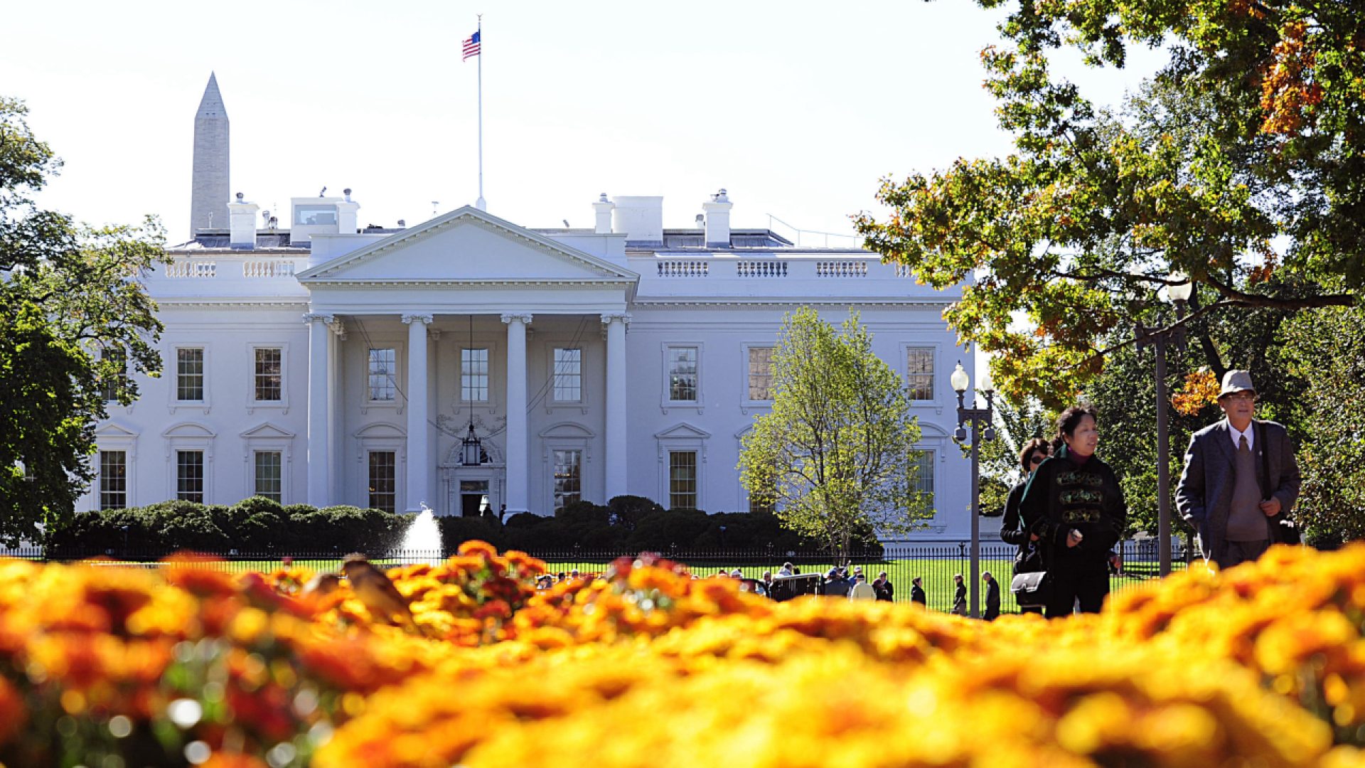 reprodução redes sociais