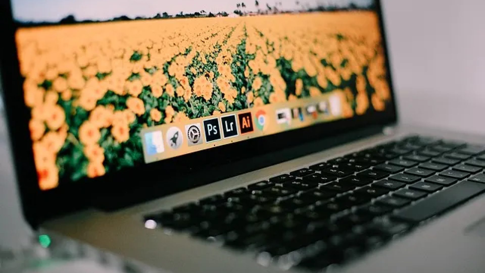 Curso gratuito online em Educação Inclusiva: Formação de Profissionais para Apoio Escolar abre inscrições