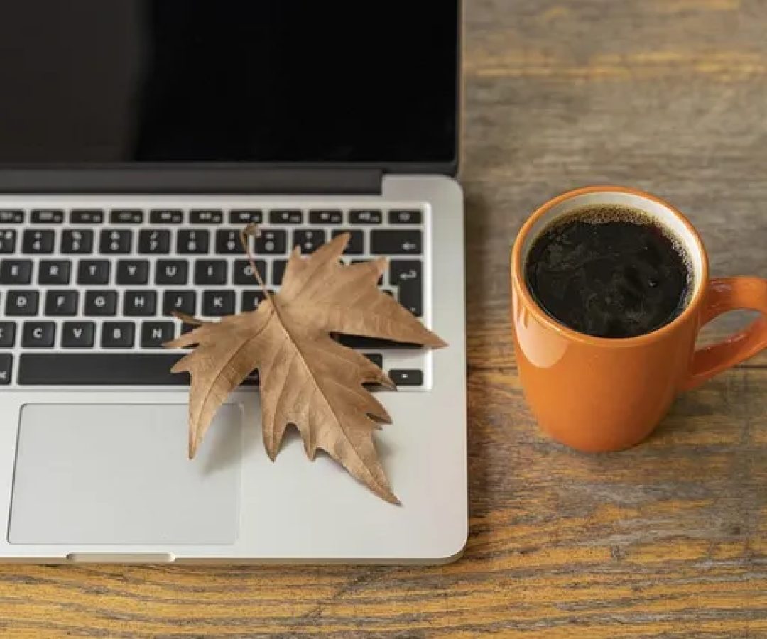 Curso gratuito online em Educação Inclusiva: Formação de Profissionais para Apoio Escolar abre 2 mil vagas