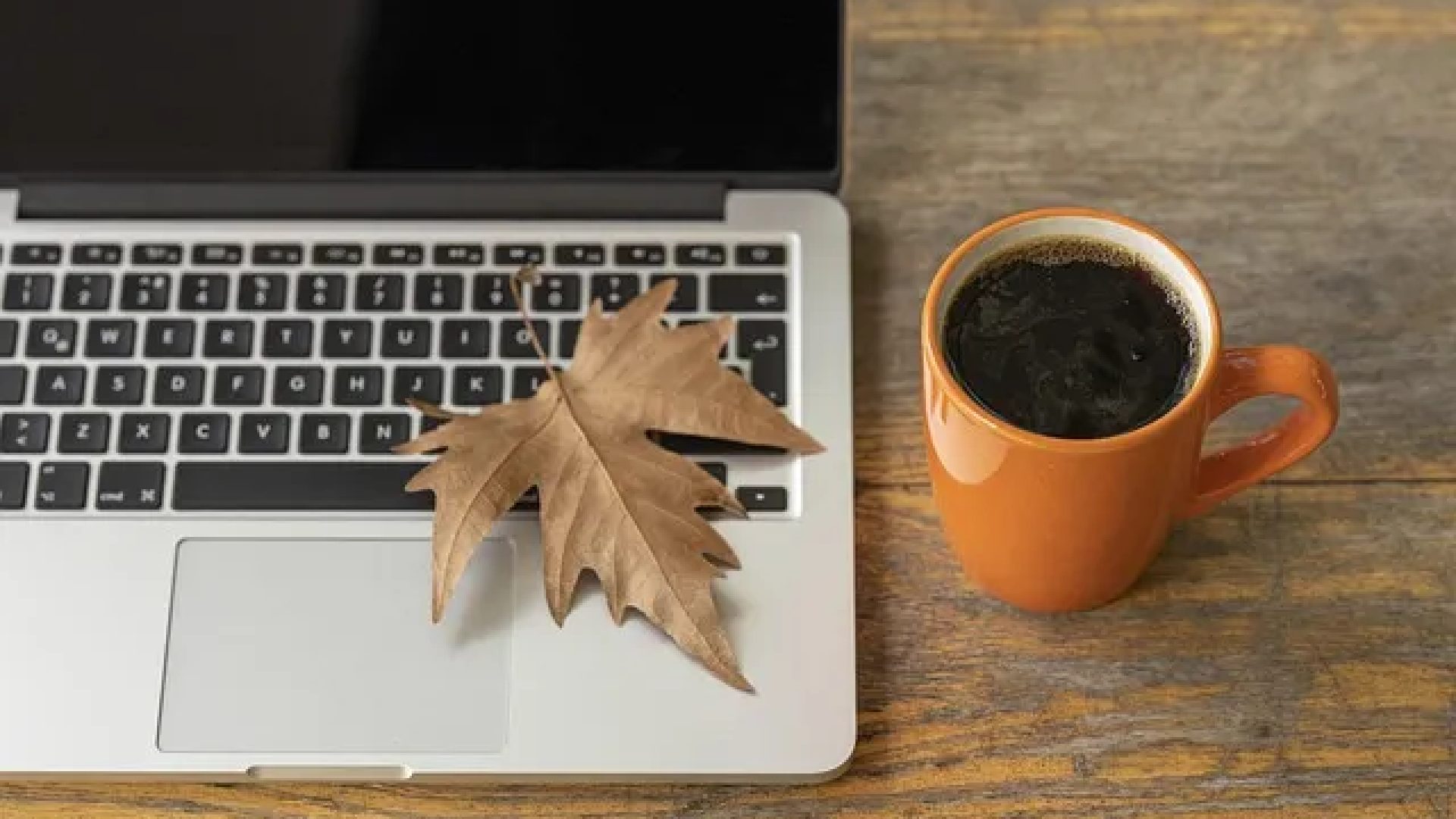 Curso gratuito online em Educação Inclusiva: Formação de Profissionais para Apoio Escolar abre 2 mil vagas