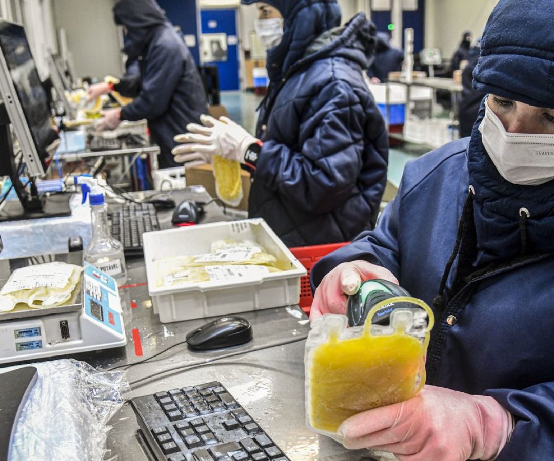 Projeto dispensa licitação para medicamentos produzidos pela Hemobrás