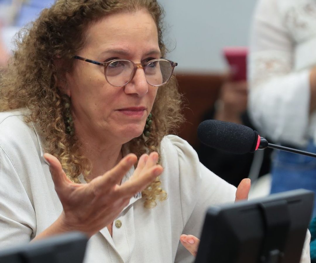 Parlamentares governistas vão aos EUA apresentar contraponto à direita