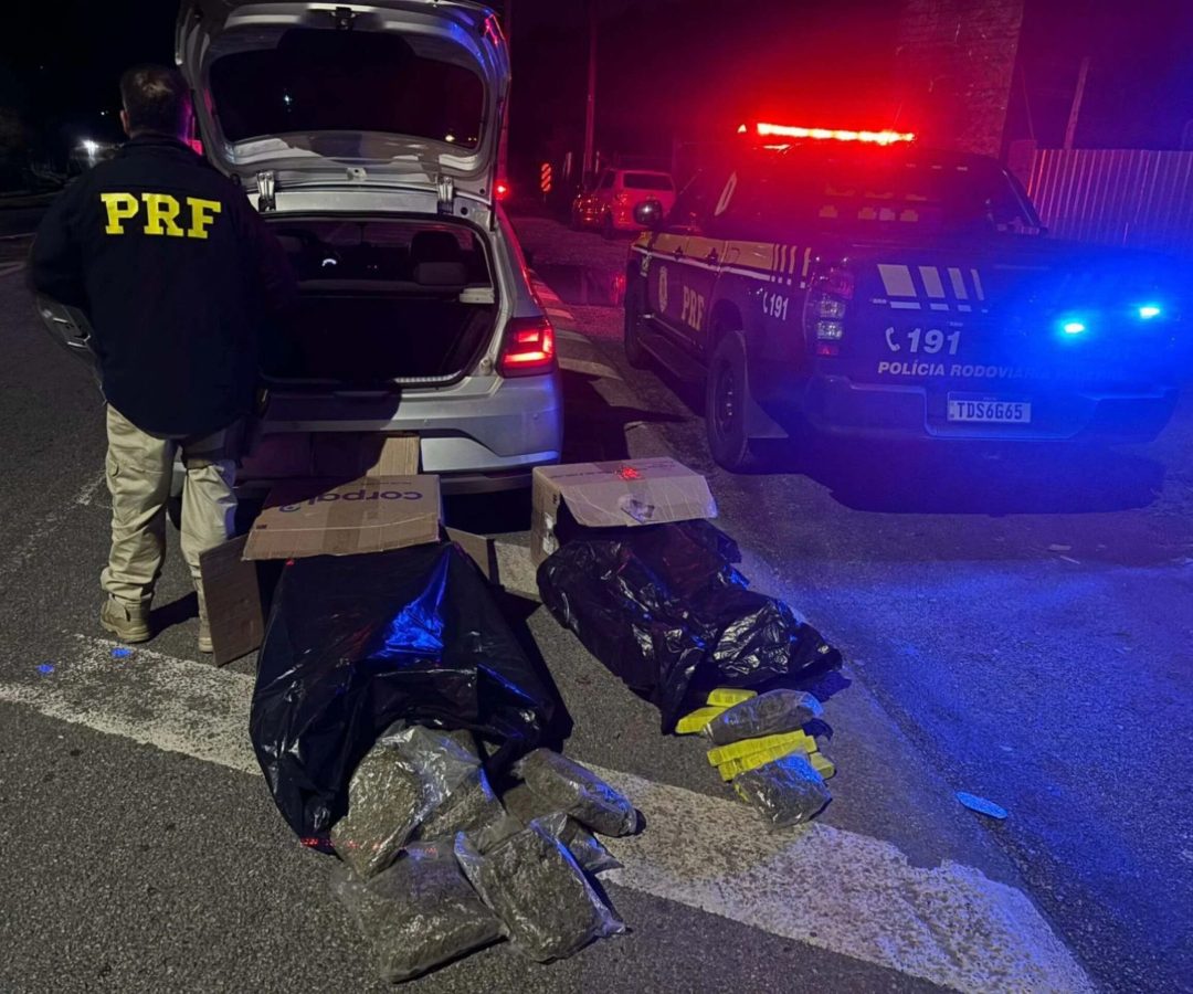 BR-381: supermaconha endereçada a MG é apreendida em porta-malas de carro -  (crédito: EM Gerais)