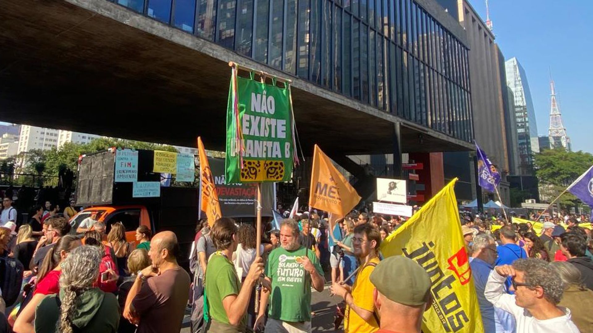 Organizações temem que Congresso derrube vetos do “PL da Devastação”