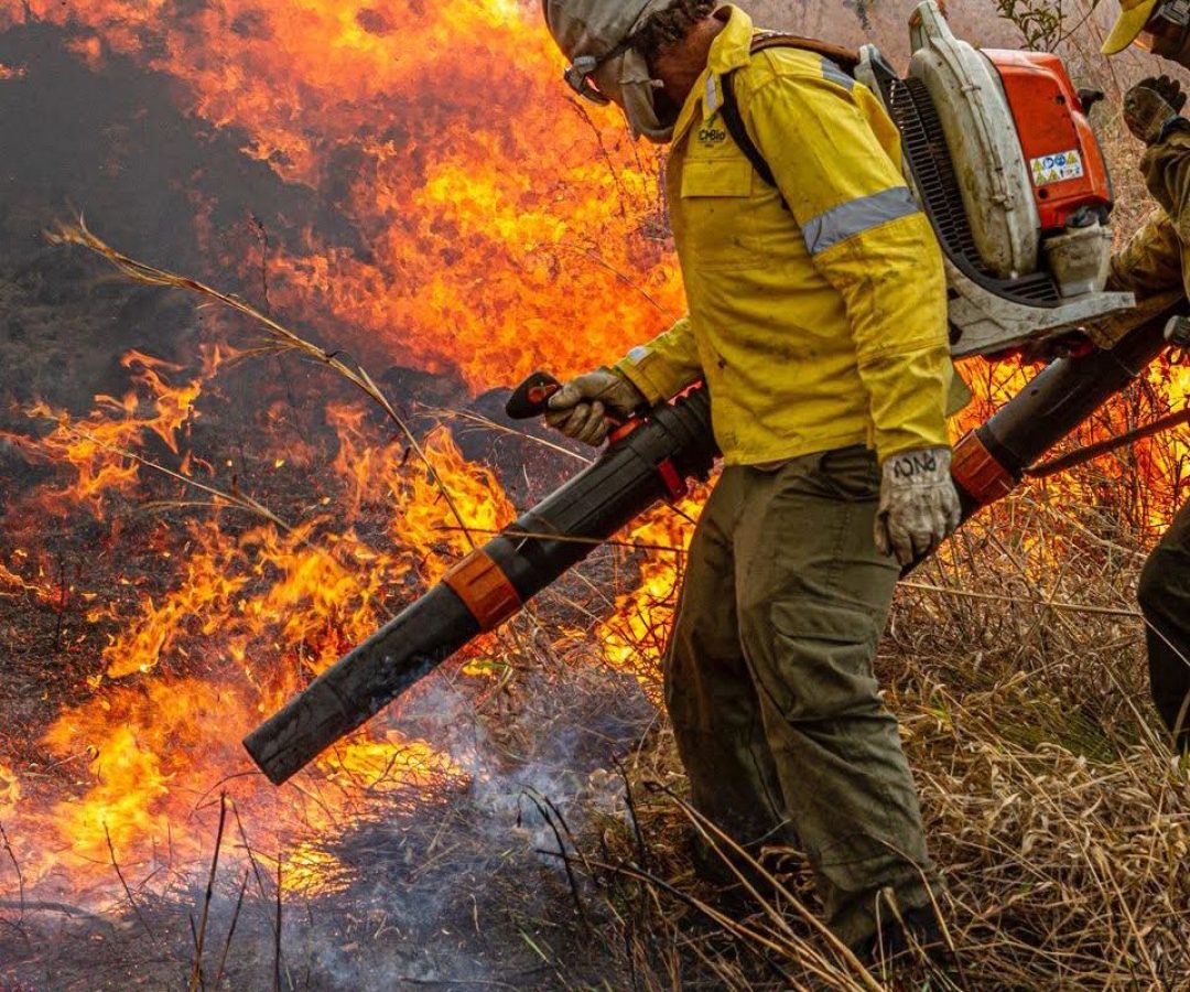 Governo repassa R$ 337 milhões para combate a incêndios e desmatamento