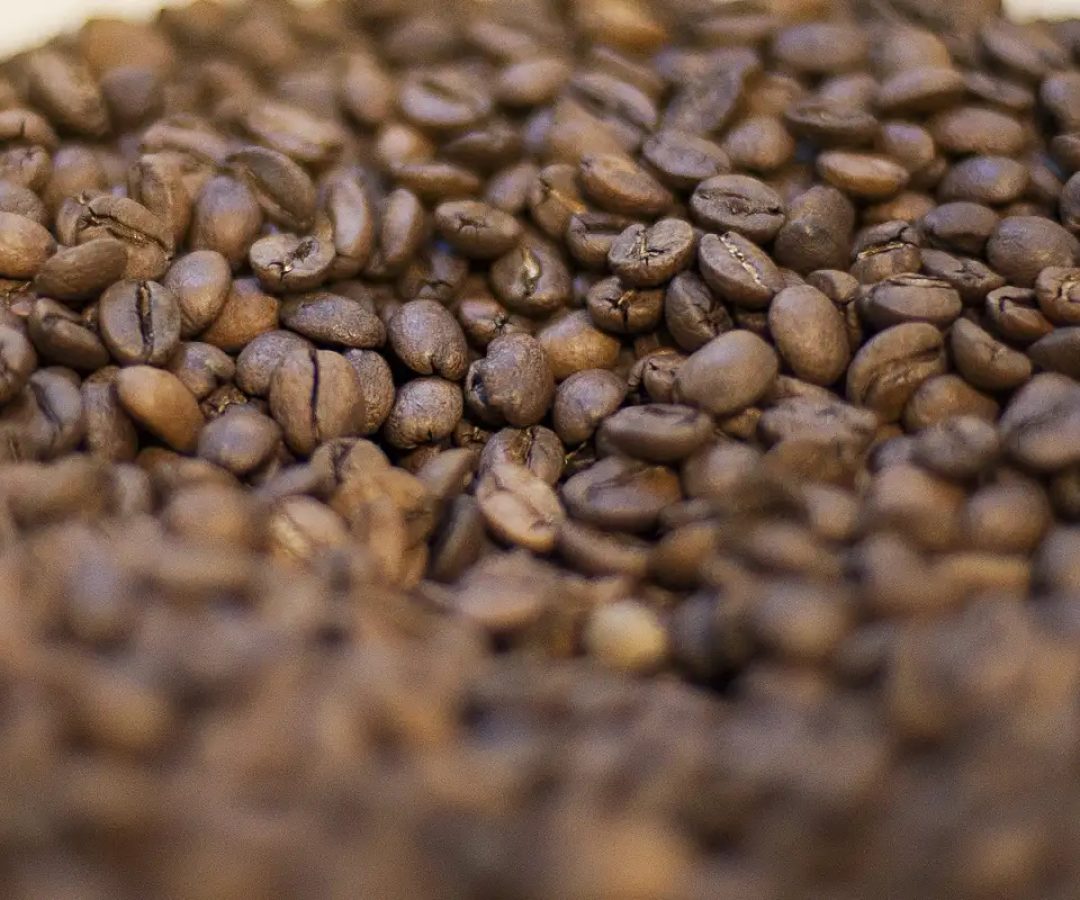 Trump diz que reduzirá tarifas para importação de café