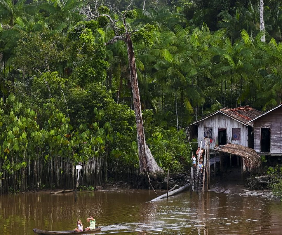 Projeto leva tratamento gratuito a doenças negligenciadas no Amazonas